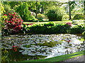 Small pool at Hodnet Hall Gardens in Hodnet