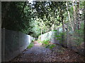 Footpath through Silwood Park in SL5 7QJ