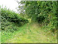 Footpath north from Dewchurch Lane in HR2 8BA