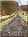 Track Leading to Shielknowes in FK1 3DZ