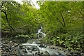 Waterfall on Nant Rhyd-Y-Gau in SA11 5LW