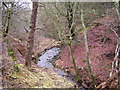 Small Glen Near Abronhill in G67 3PF