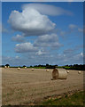 Field with bales near Kersey Vale in IP7 5NR