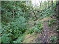 Footpath, Maple Dean Clough in HX6 3RB