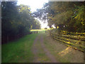 Footpath through Dimmingsdale Spinney in LE7 7ES