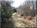 Bridleway near Radnor Road in GU6 7NR