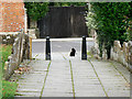 Path and Cat, St Sampson's Church, Cricklade in Cricklade