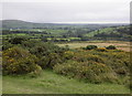 Gorse, above the Burn Valley in PL19 9QB
