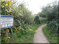 East Devon : Coast Path & Bushes in EX9 6DG