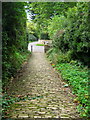 Church path - Corton Denham in Corton Denham