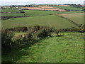 Field path to Ringmore in TQ7 4AR