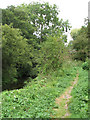 Narrow path following drainage ditch in NR13 3DY