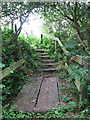 Plank bridge and steps in NR13 3DY
