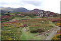 Footpath descending off Conwy Mountain in LL32 8BJ