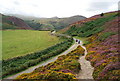 North Wales Path north of The Sychnant Pass in LL34 6TB