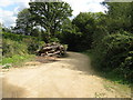 Logs beside footpath west of Balls Cross in Ebernoe