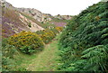 Footpath up the Sychnant Pass in LL34 6TB