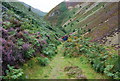 Footpath below Sychnant Pass in LL34 6TB