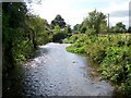 River Wylye, Heytesbury in BA12 0HE
