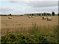Straw bales beside First Drove in CB25 0BQ
