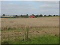 Bringing In The Harvest, Abberley in WR6 6BE