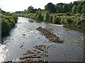 River Ebbw viewed downstream in NP10 8WP