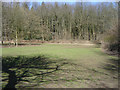 Picnic Area at Chawton Park Woods in GU34 5ED