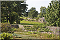 Across the kitchen garden - Aberglasney House in SA32 8QE