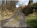 Bridleway in SA32 8AE
