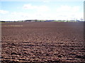 Ploughed Field with Dumbarrow Hill in the Distance in DD8 2SG