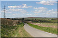 Country road to the east of Ropley in SO24 0DW
