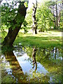 Reflections in Singleton Park in SA2 9HY