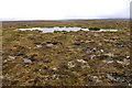 Small lochan on Virda Field in ZE2 9UT