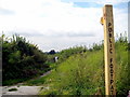 Footpath off Sandy Hole - Merriott in TA16 5QS