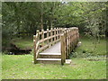 South Gorley, footbridge in SP6 2PS