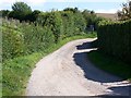 Bridleway, Hedge End in DT11 0EB
