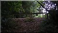 Footpath crosses farm track south of Verdley Edge in GU29 0BH