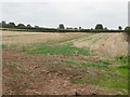 Stubble Field Near Bainstree Cross in HR6 9DG