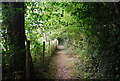 Tunbridge Wells Circular Path - south of Romford Rd in TN2 4JF