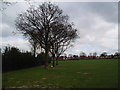 Stevens Park, East Wickham, Kent in DA7 4UE