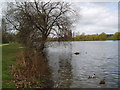 Danson Park Lake, Bexley, Kent in DA5 1DL