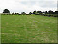 Menithwood Grassland in WR6 6UB