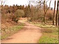 Worcester walk, Forest of Dean in GL16 7EN