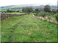 Footpath towards Embsay by Milking Hill Wood in BD23 6SH
