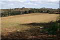 Arable Land west of Playing Place in TR3 6GG