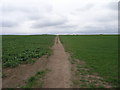 Footpath To Kiveton in S25 5JD