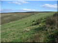 Grazing land and moorland on the slopes of Foel Trawsnant in SA13 3HE