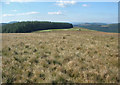 The upper slopes of Foel Trawsnant descending towards forestry and farmland in SA13 3HE