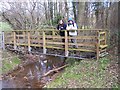 Bridge Over the Holly Brook in HR6 0NJ
