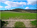 Field from Mouse Lane in BN44 3LN